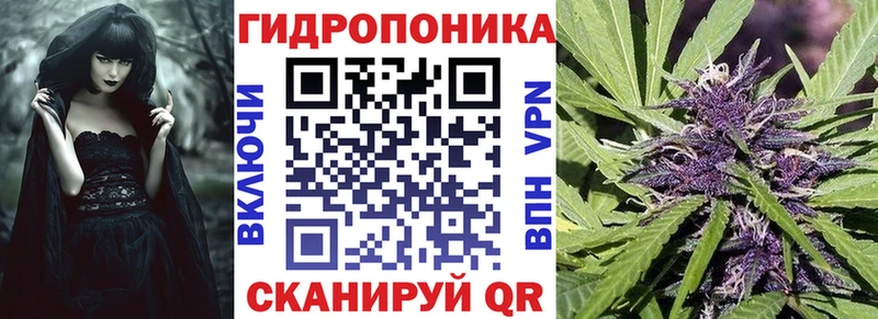 Марихуана Ganja  Славск 